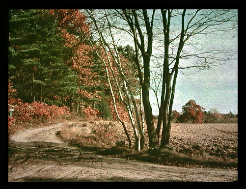 Anonymous - Autumn Scene
