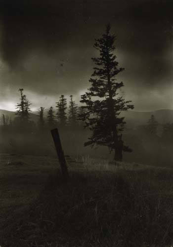 Josef Sudek - Untitled (From the Series "Vanished Statues in Mionsi")