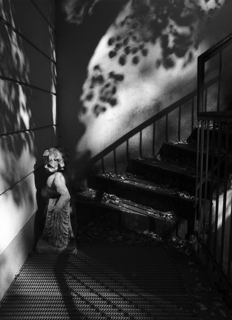 Stanko Abadžic - Cherub in Shadows