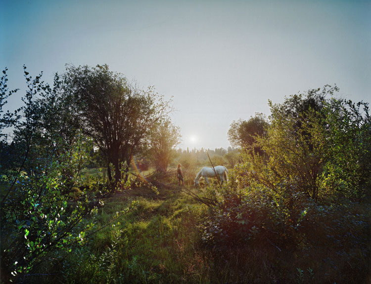 Jerry Spagnoli - Montana, (Helen with Horse) Jerry Spagnoli - Montana, (Helen with Horse)