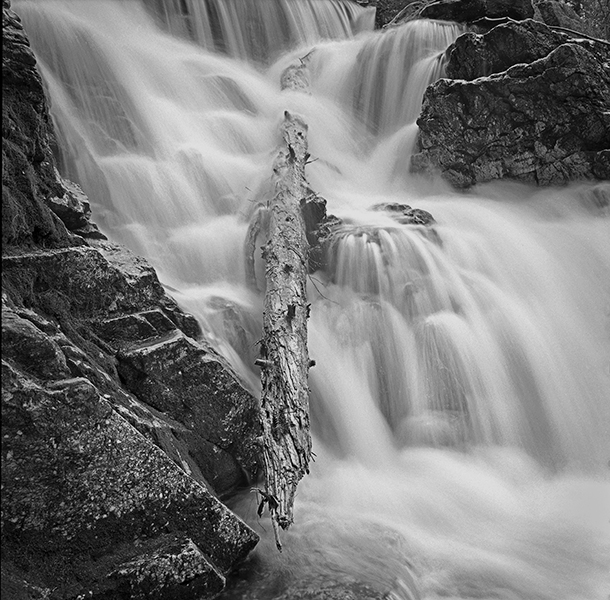 Russ Martin - Sheldon Falls and Log Russ Martin - Sheldon Falls and Log