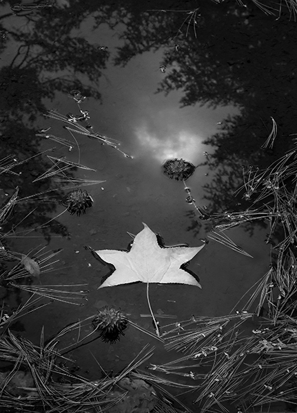 Marcia Schulman Martin - Ethereal Reflection Marcia Schulman Martin - Ethereal Reflection