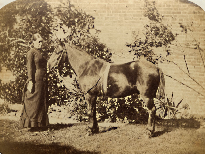 Anonymous - Lady with Horse