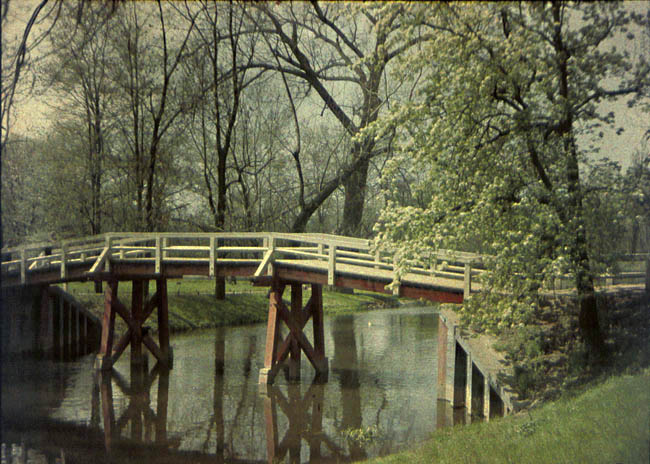 Anonymous - Bridge