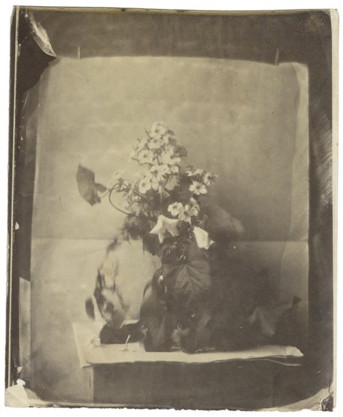Early Still Life of Flowers