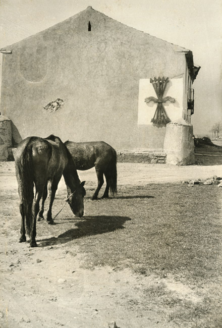 Henri Cartier-Bresson - Horses