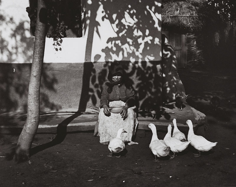 Andre Kertesz - Tisza-Szalka, Feeding the Ducks, Hungary Andre Kertesz - Tisza-Szalka, Feeding the Ducks, Hungary