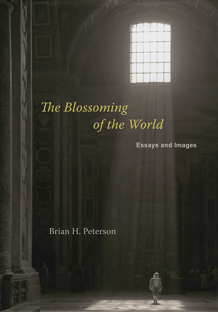 The Blossoming of the World, Essays and Images