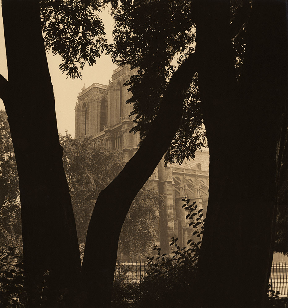 Albert Monier - Tree and Notre Dame, Paris Albert Monier - Tree and Notre Dame, Paris