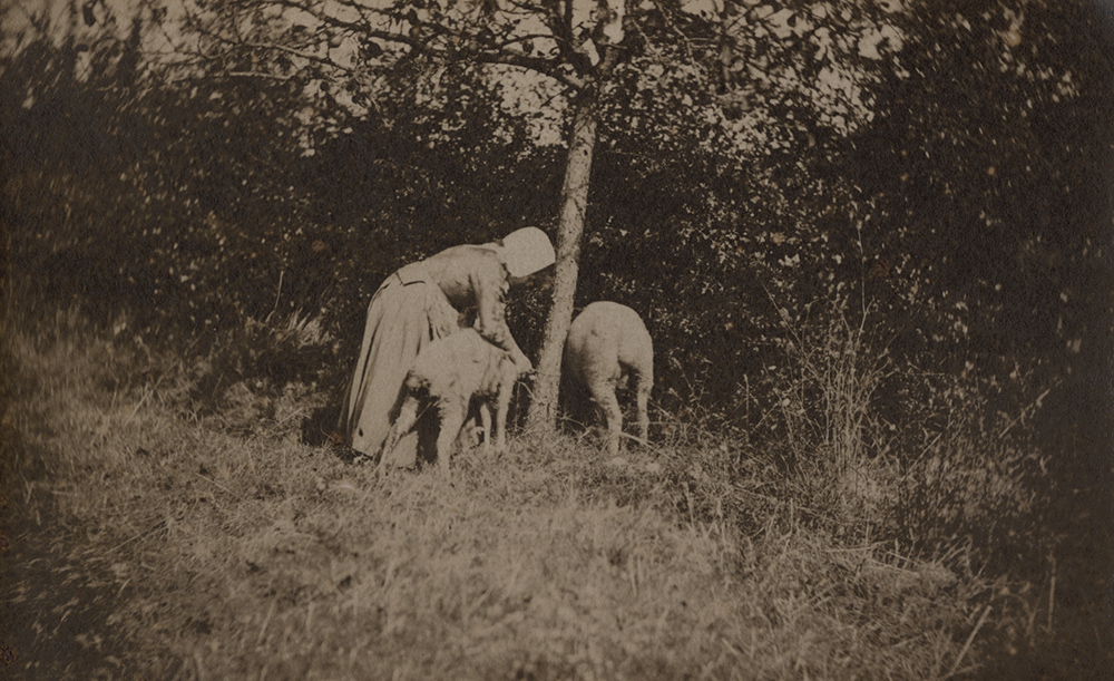 A. Giraudon's Artist - Woman with Sheep A. Giraudon's Artist - Woman with Sheep