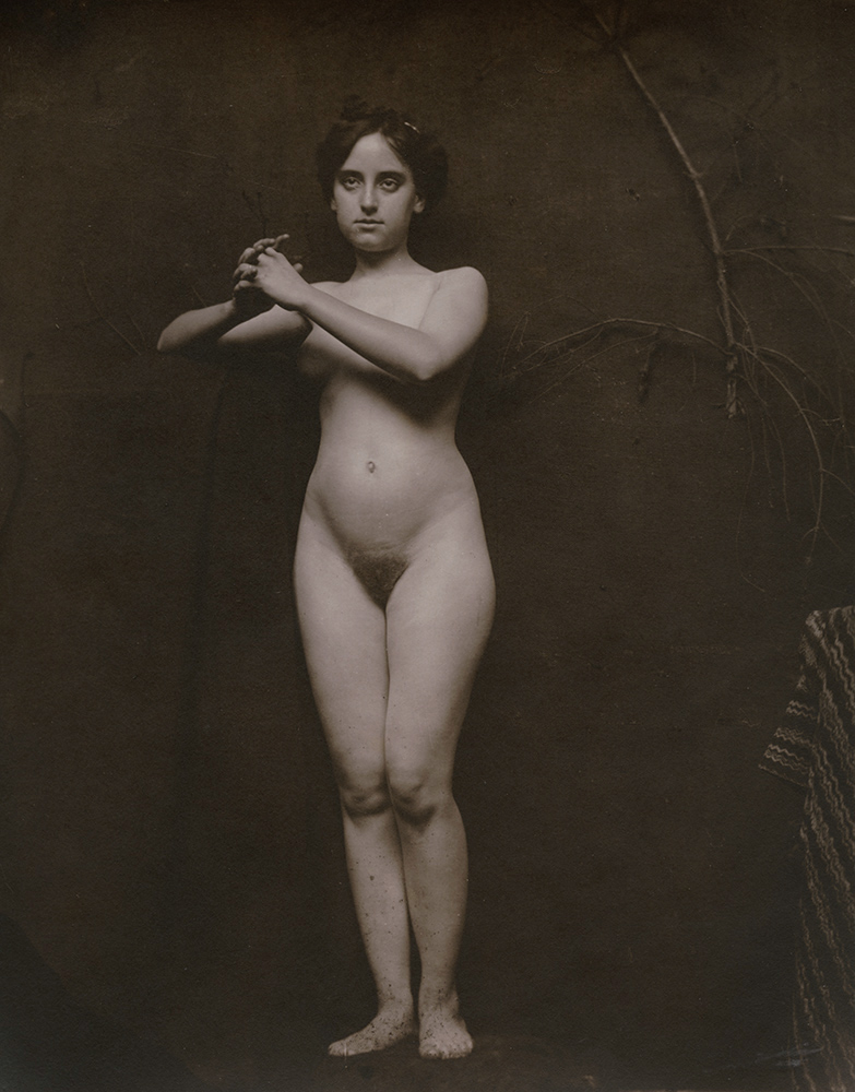 Anonymous - Standing Female Nude with Clasped Hands