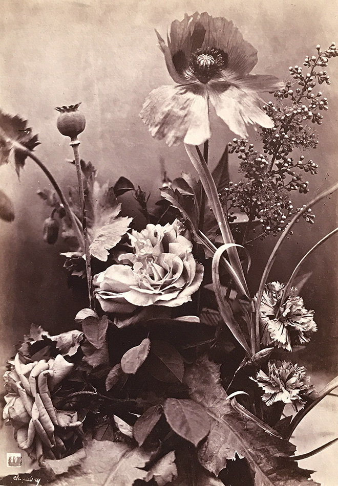 Charles Hippolyte Aubry - Roses, Poppies and Carnations (Roses, Pavots et Oeillets) Charles Hippolyte Aubry - Roses, Poppies and Carnations (Roses, Pavots et Oeillets)