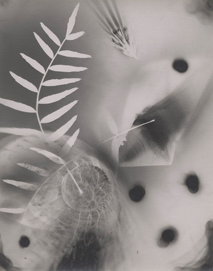 Hugo Steccati - Untitled Photogram Hugo Steccati - Untitled Photogram