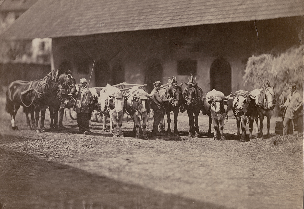 Achille Quinet - Men with Teams of Horses and Oxen