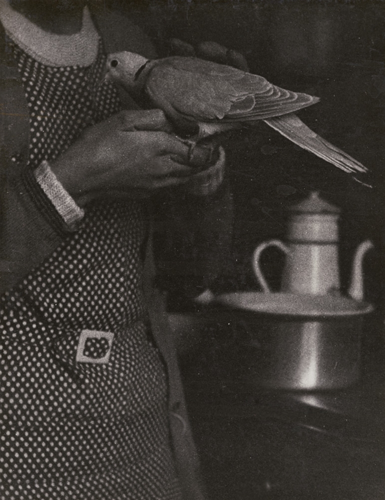 Woman, Dove and Stove