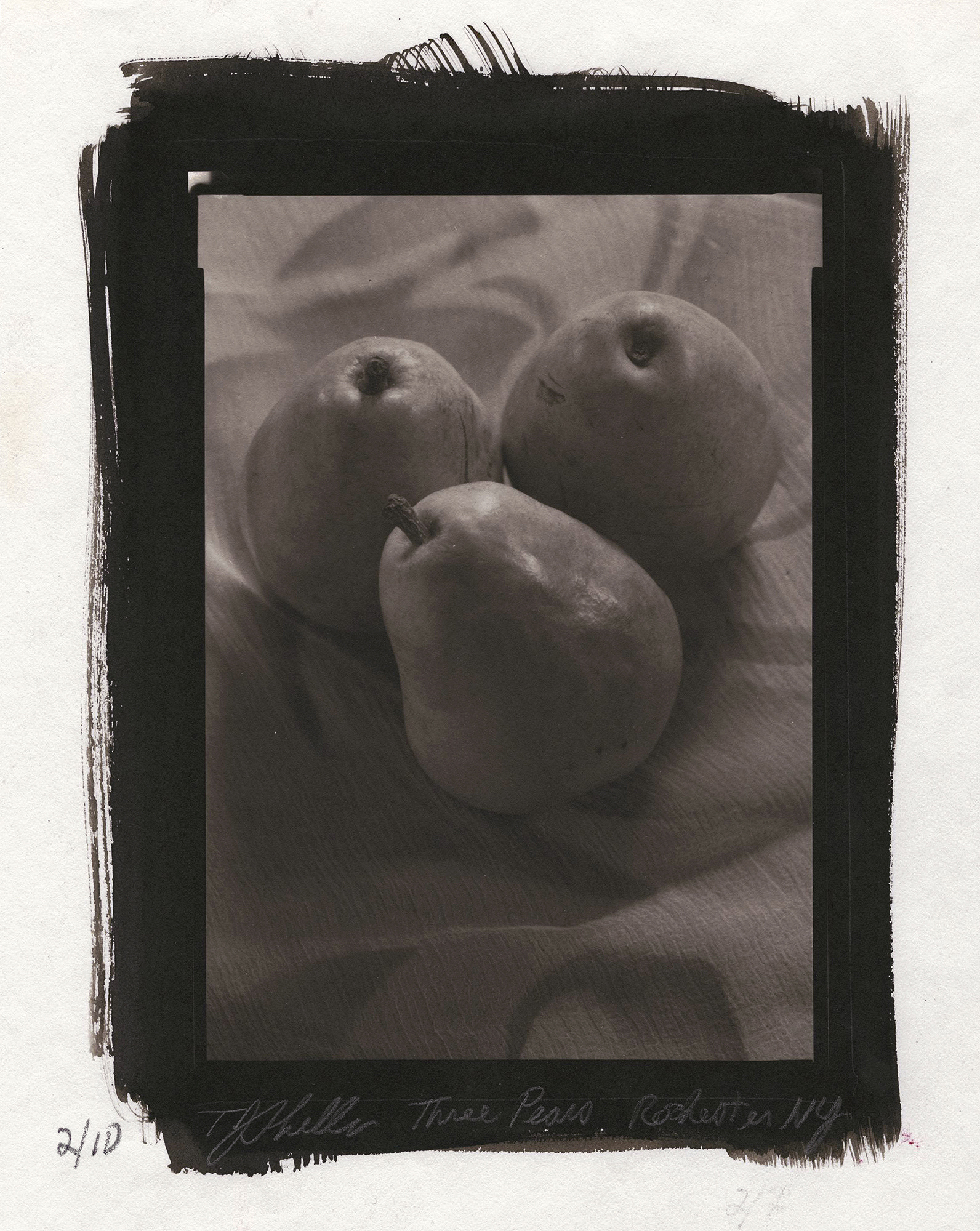 Thomas John Shillea - Three Pears