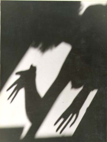M. Neven du Mont - Morning Shadows M. Neven du Mont - Morning Shadows
