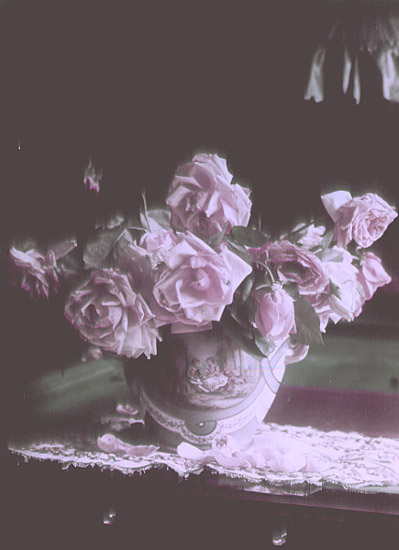 Anonymous - Wilting Roses