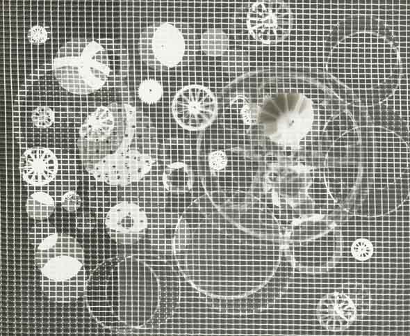 Arthur Siegel - Photogram