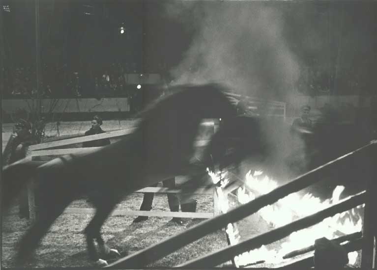 Ilse Bing - Circus Horse Jumping through Fire