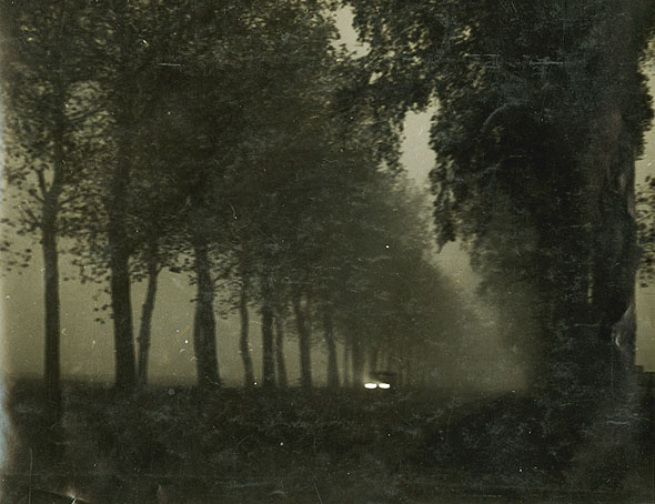 Geza Vandor - Car Headlights on Dark Tree-Lined Road