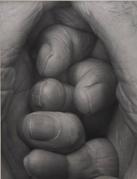 John Coplans - Self Portrait, Interlocking Fingers No. 19 John Coplans - Self Portrait, Interlocking Fingers No. 19