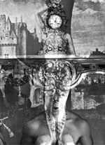 Eikoh Hosoe - Eikoh Hosoe: Flowers of Evil (Les Fleurs du Mal)