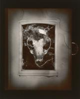 Olivia Parker - Amulet (from "Lost Objects portfolio)