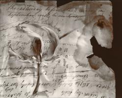 Olivia Parker - Saturday (from "Lost Objects portfolio)