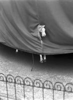 Stanko Abad�ic - Horse under Cover (from the Paris Cycle)