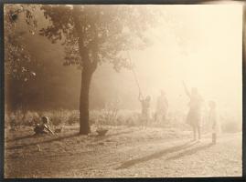 Leonard Misonne - Picking Fruit in the Sunlight