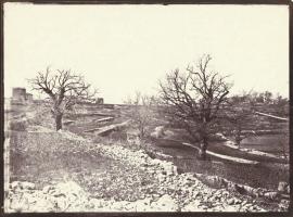 Charles Negre - Ch�nes en Hiver (Oak Trees in Winter)