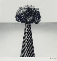 Robert Mapplethorpe - Carnations and Striped Vase