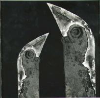 Ladislav Postupa - Ptaci (Birds)