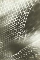 Viola Uretz - Untitled Photogram