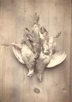 A. S. - Game Birds as Still Life