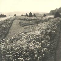 Laure Albin-Guillot - Versailles