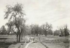 C. H. Harrison - Lolab, Kashmir