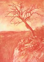 Ted Jones - Virginia Landscape #39