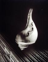 Barbara Morgan - City Shell (Photomontage)
