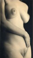Charlie Schreiner - Torso (Female Nude)