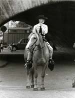 Dominique Berretty - French Actress Brigitte Bardot on Horse