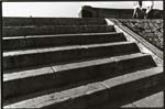 Patrice Buvat - Steps