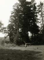 Jacques-Henri Lartigue - Huguette Sabouret au Ch�teau des Essarts, Veyvialle, France