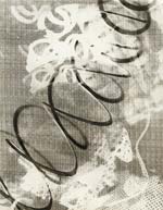 Charles W. Niedringhaus - Untitled Photogram
