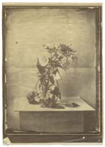 Charles Negre (Circle of ) - Early Still Life of Flowers