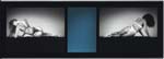 Robert Mapplethorpe - Mirror Image