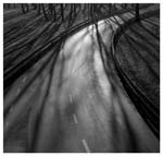 Stanko Abad�ic - Road with Light and Shadows, Zagreb,Croatia