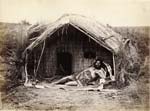 Josiah Martin - Maori Whare