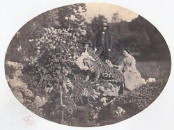 Auguste Jugelet - Album of Salt Prints, including Group with Leopard